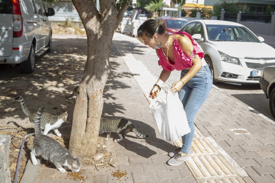 Kedisinin Ölümünden Sorumlu Tuttuğu Veterinerden Şikayetçi Oldu