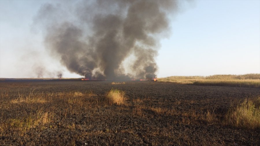 Güncelleme - Mersin'deki Göksu Deltası'nda Çıkan Yangın Kontrol Altına Alındı