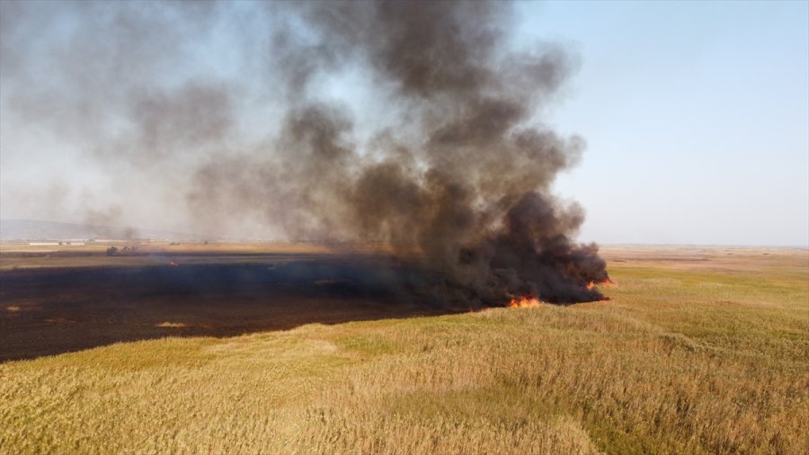 Güncelleme - Mersin'deki Göksu Deltası'nda Çıkan Yangın Kontrol Altına Alındı