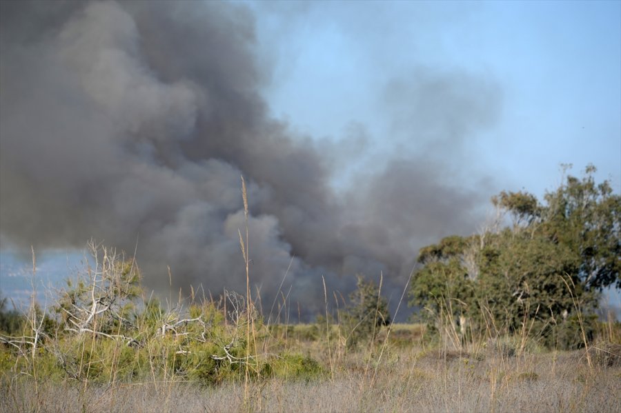 Mersin'deki Göksu Deltası'nda Yangın Çıktı