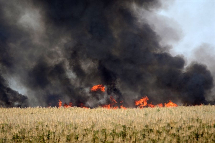 Mersin'deki Göksu Deltası'nda Yangın Çıktı