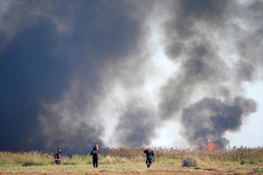 Güncelleme - Mersin'deki Göksu Deltası'nda Çıkan Yangın Kontrol Altına Alındı
