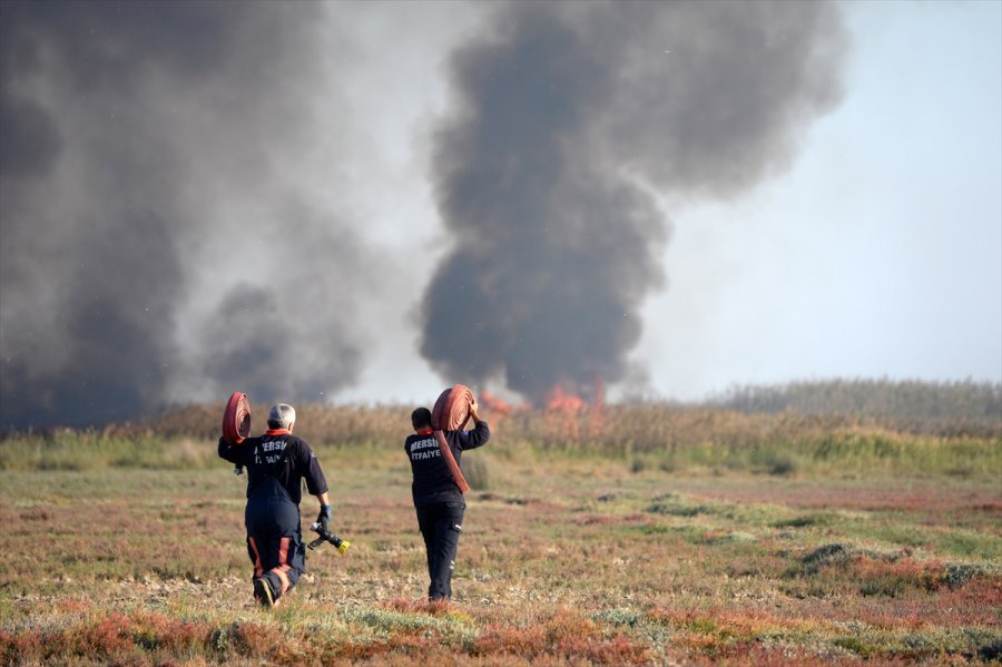 Güncelleme - Mersin'deki Göksu Deltası'nda Çıkan Yangın Kontrol Altına Alındı