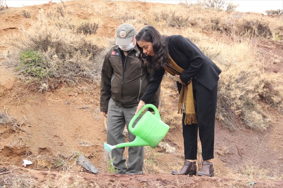 Ahırlı'da 800 Fidan Toprakla Buluşturuldu