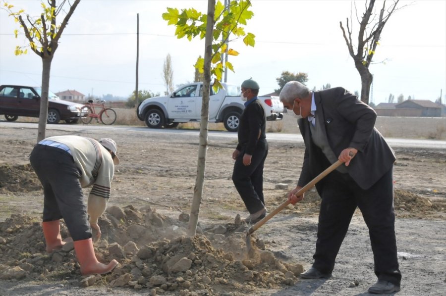Akşehir'de 200 Fidan Toprakla Buluşturuldu