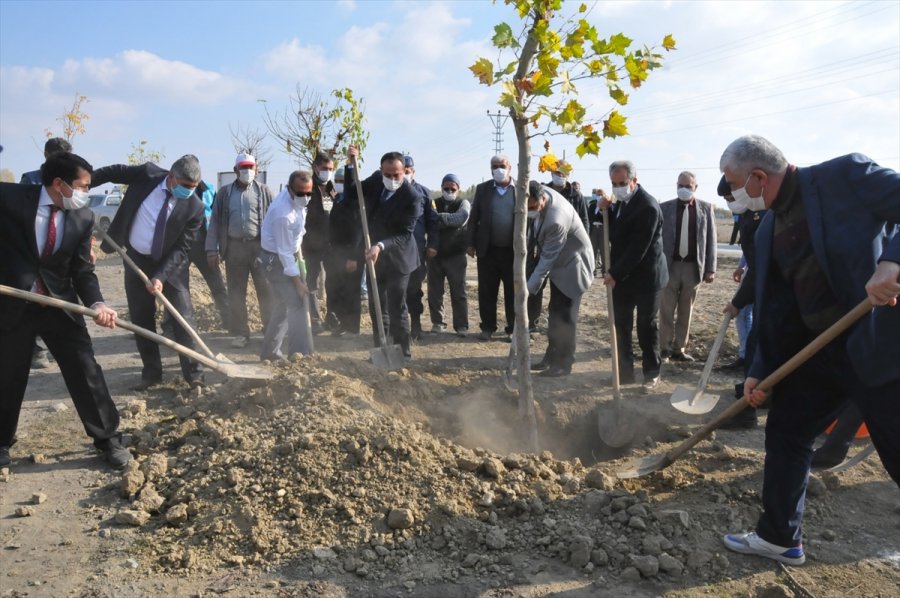 Akşehir'de 200 Fidan Toprakla Buluşturuldu