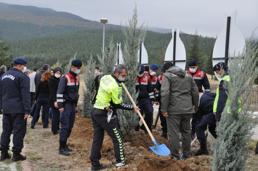 Akşehir'de 54 Şehit İçin 54 Fidan Dikildi