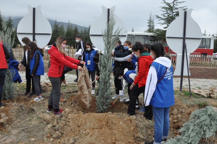 Akşehir'de 54 Şehit İçin 54 Fidan Dikildi