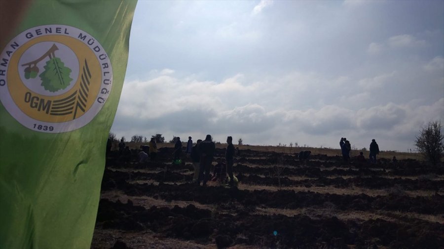 Bozkır'da 2 Bin Fidan Toprakla Buluşturuldu