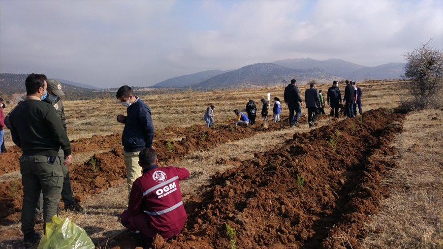 Bozkır'da 2 Bin Fidan Toprakla Buluşturuldu