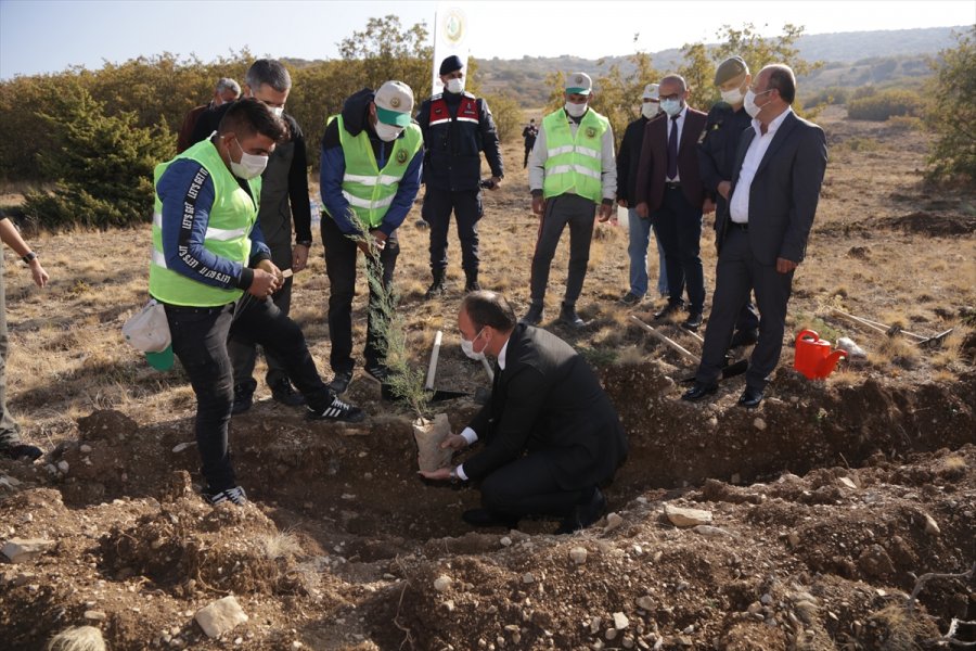 Halkapınar'da 500 Fidan Toprakla Buluştu
