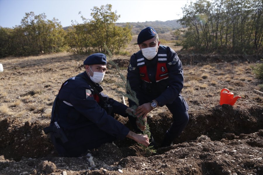 Halkapınar'da 500 Fidan Toprakla Buluştu