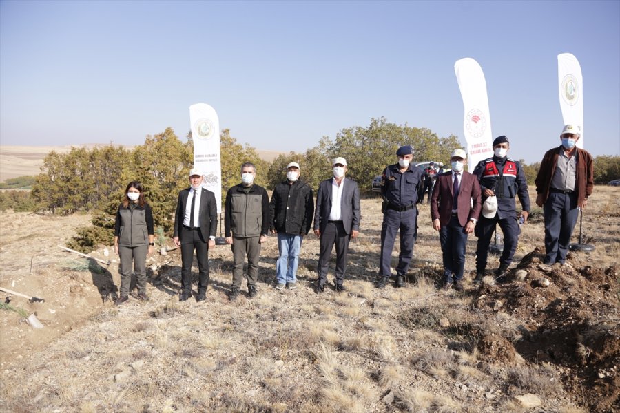 Halkapınar'da 500 Fidan Toprakla Buluştu