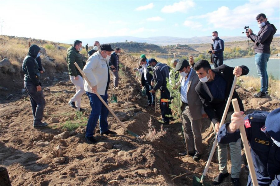İncesu’da 600 Fidan Toprakla Buluştu