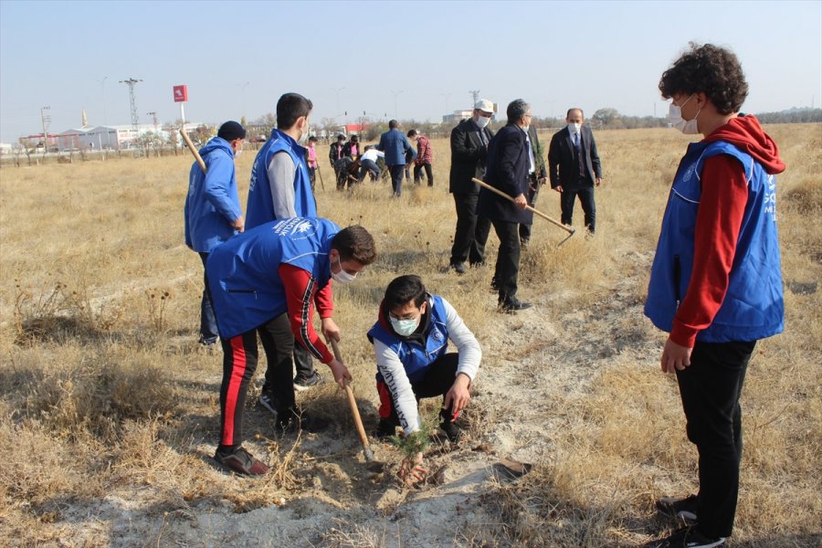 Karapınar'da Fidanlar Toprakla Buluşturuldu