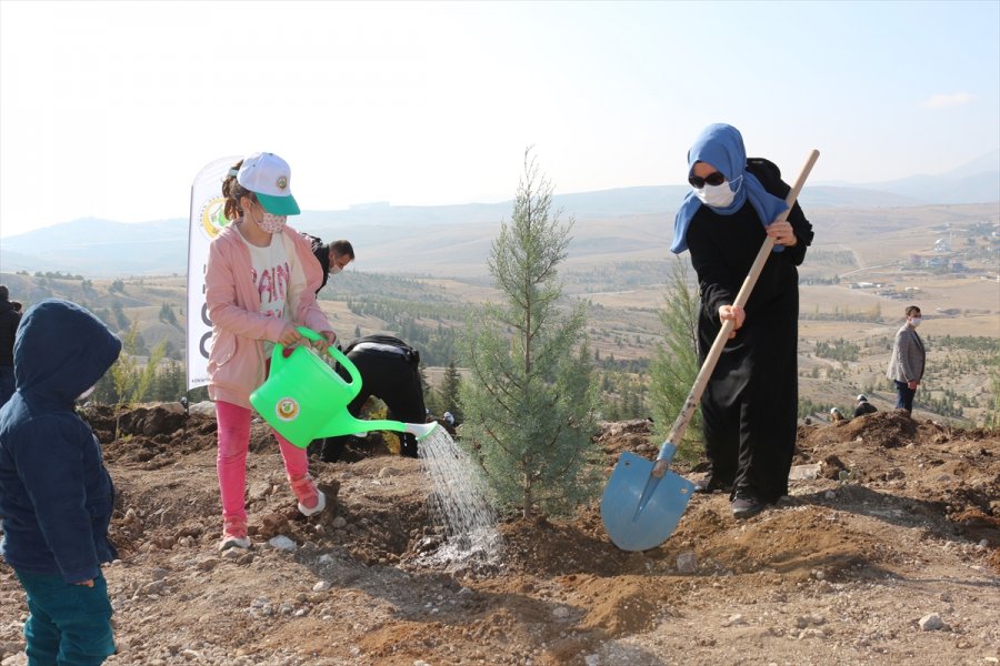 Milli Ağaçlandırma Günü