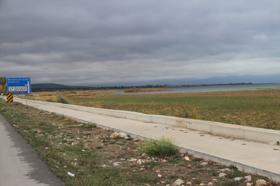 Beyşehir Gölü'nde Sular Çekildi, Kıyılarda Sazlıklar Oluştu