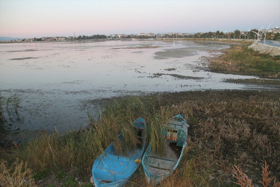 Beyşehir Gölü'nde Sular Çekildi, Kıyılarda Sazlıklar Oluştu
