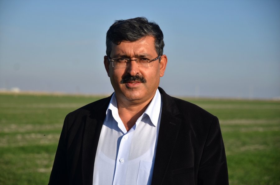 Pandemi Sürecinde Değerlenen Buğdaya İlgi Arttı