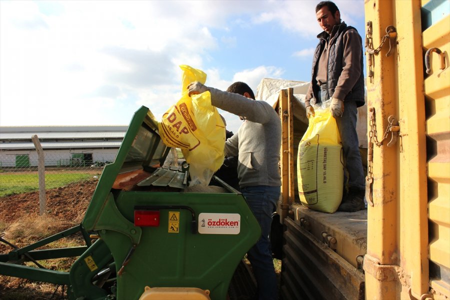 Pandemi Sürecinde Değerlenen Buğdaya İlgi Arttı
