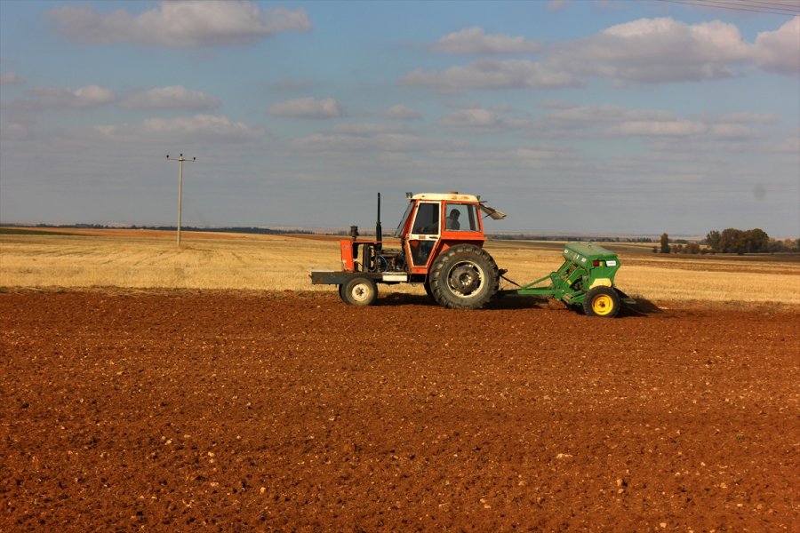 Pandemi Sürecinde Değerlenen Buğdaya İlgi Arttı