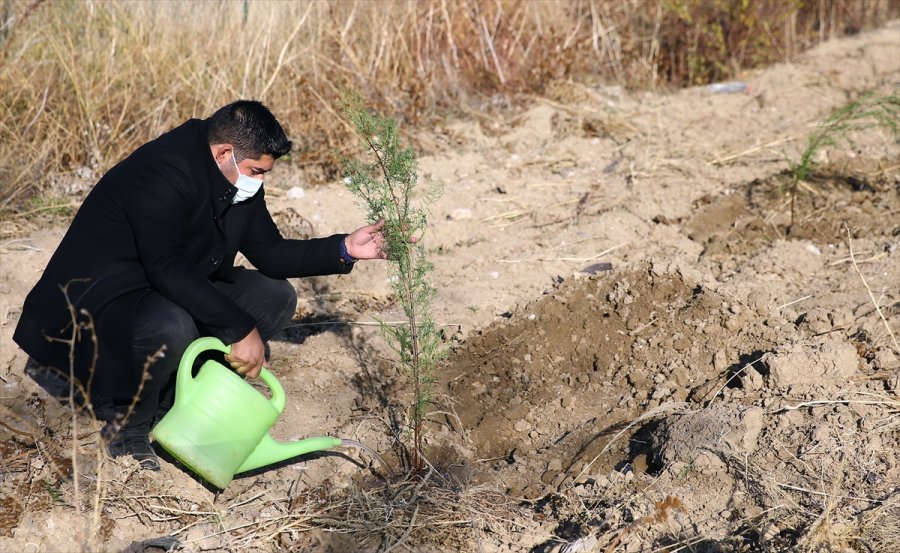 Anadolu Ajansı Çalışanları 2 Bin Fidanı Toprakla Buluşturdu