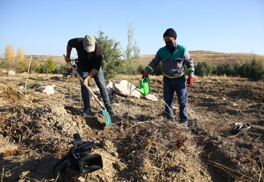Anadolu Ajansı Çalışanları 2 Bin Fidanı Toprakla Buluşturdu