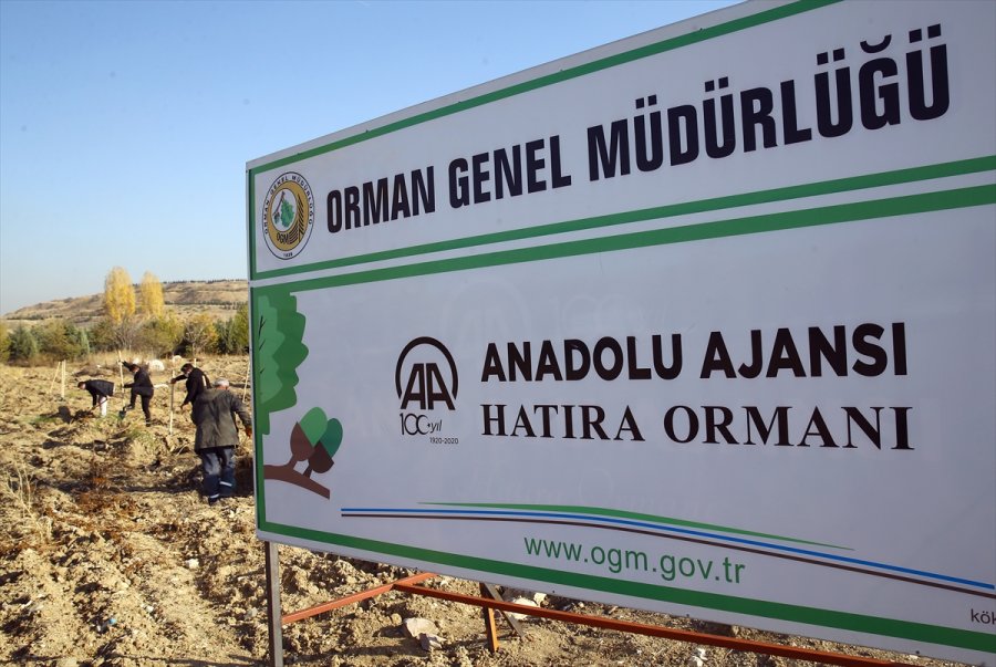 Anadolu Ajansı Çalışanları 2 Bin Fidanı Toprakla Buluşturdu