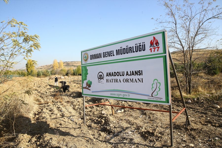 Anadolu Ajansı Çalışanları 2 Bin Fidanı Toprakla Buluşturdu