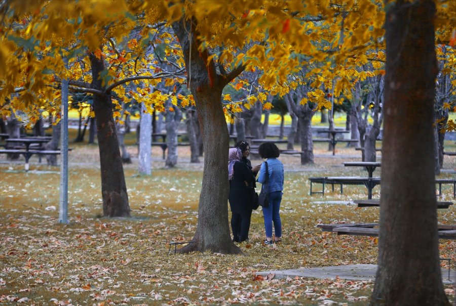 Konya'daki Kuğulu Ve Japon Parkı Hazan Renklerine Büründü