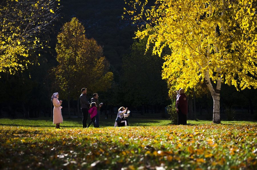 Konya'daki Kuğulu Ve Japon Parkı Hazan Renklerine Büründü