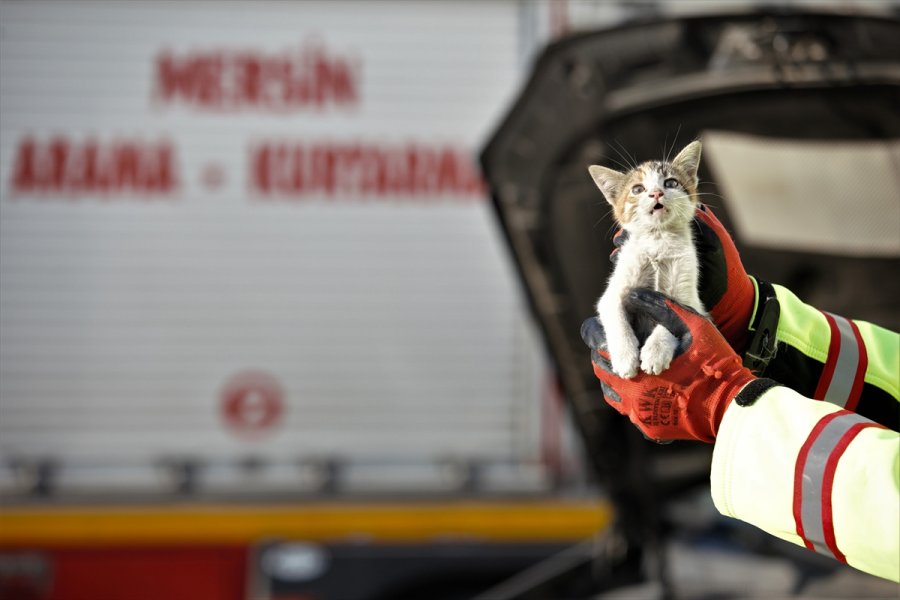 Mersin'de Otomobilin Kaputunda Mahsur Kalan Kedi Yavruları Kurtarıldı