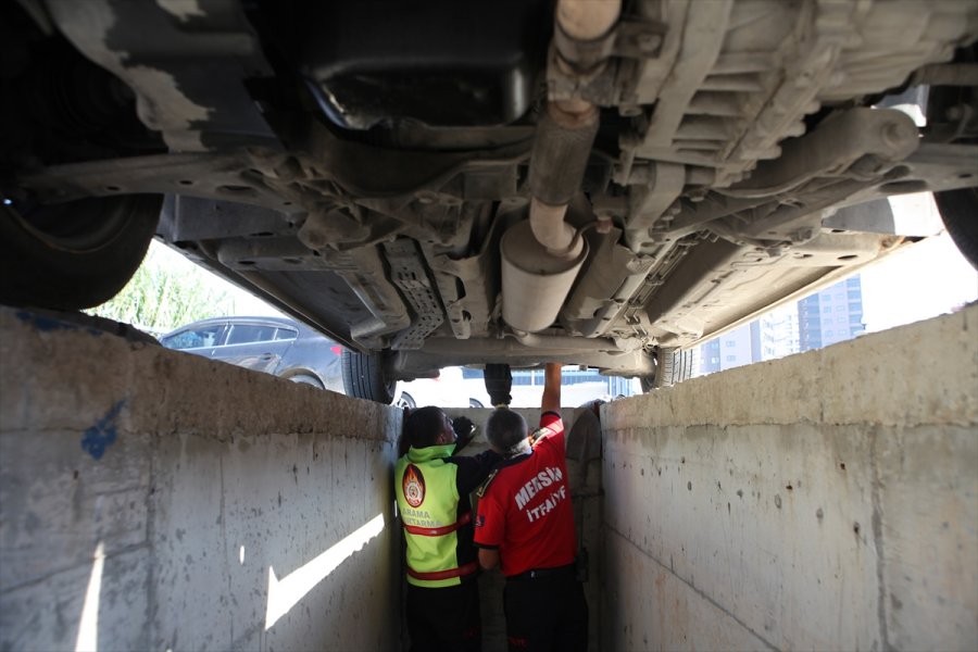 Mersin'de Otomobilin Kaputunda Mahsur Kalan Kedi Yavruları Kurtarıldı