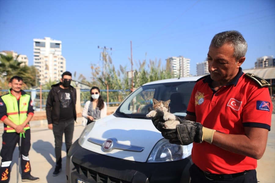 Mersin'de Otomobilin Kaputunda Mahsur Kalan Kedi Yavruları Kurtarıldı