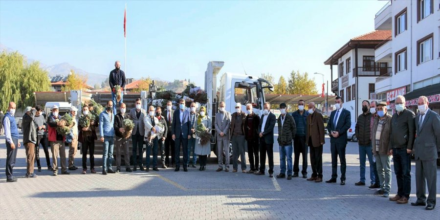 Nallıhan'da Lavanta Üretimine Belediyeden Destek