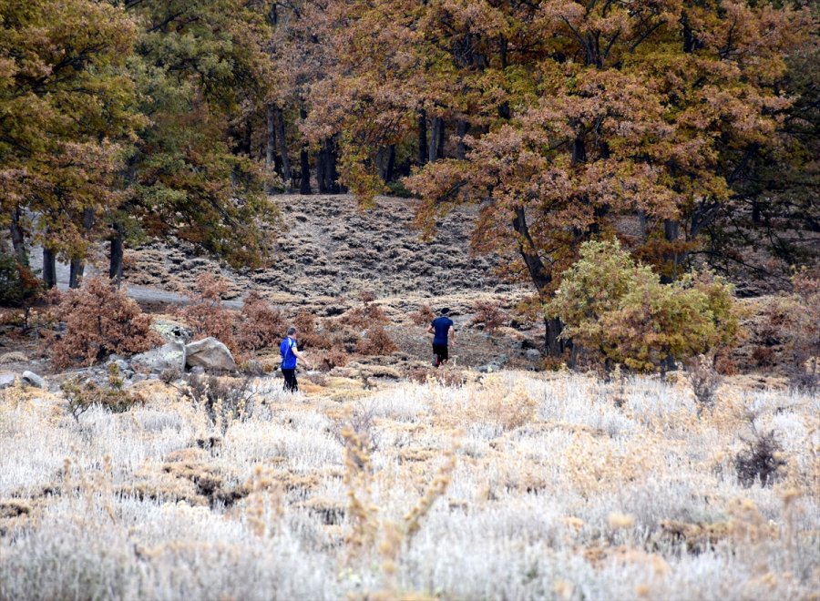 Türkiye Oryantiring Şampiyonası 1. Kademe Yarışları, Aksaray'da Başladı