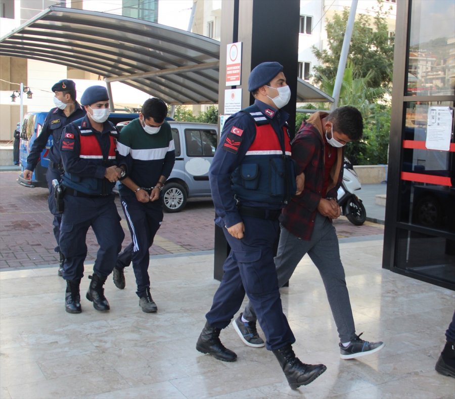 Antalya'da Bahçeden Avokado Çaldığı Belirlenen 2 Kişi Tutuklandı