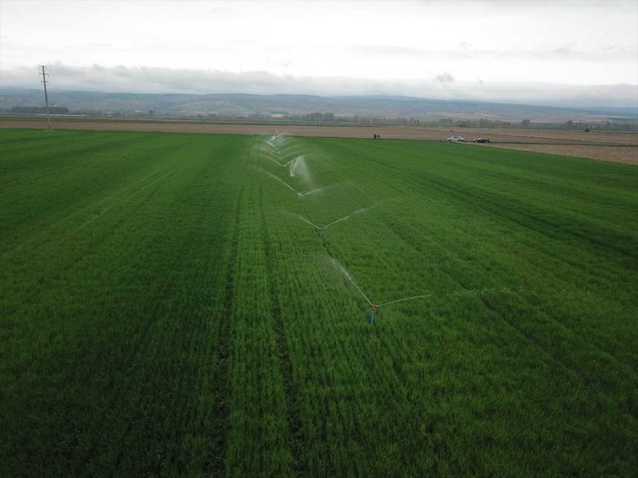 Eskişehir'de 2020 Yılında 325 Bin 500 Dekar Tarım Arazisi Sulandı