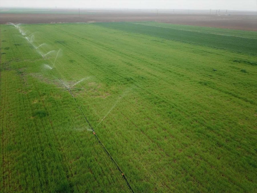 Eskişehir'de 2020 Yılında 325 Bin 500 Dekar Tarım Arazisi Sulandı