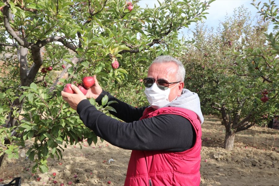 Esentepe Mahallesi'nin Emekli Ve Üniversite Mezunu Çiftçileri