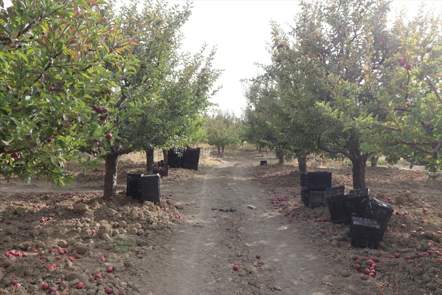Esentepe Mahallesi'nin Emekli Ve Üniversite Mezunu Çiftçileri