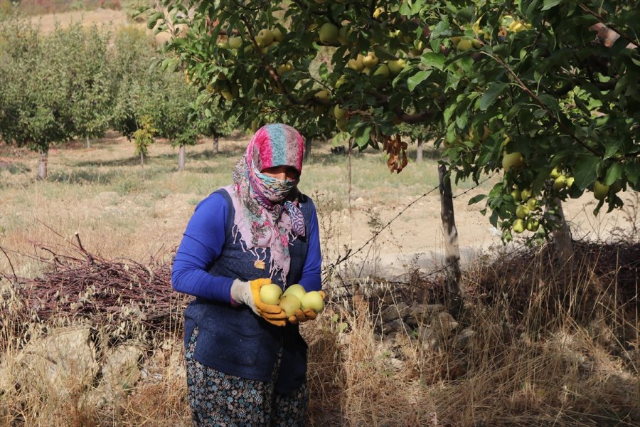Esentepe Mahallesi'nin Emekli Ve Üniversite Mezunu Çiftçileri