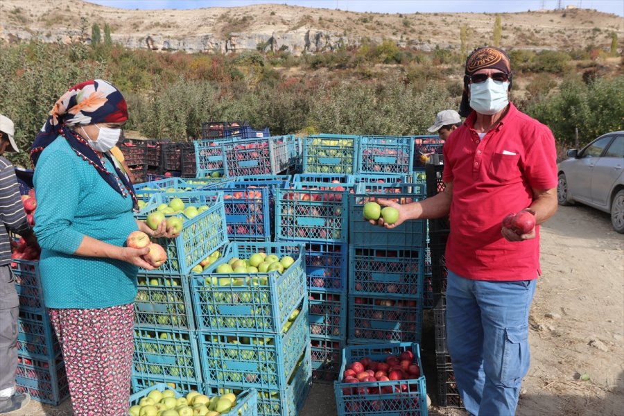 Esentepe Mahallesi'nin Emekli Ve Üniversite Mezunu Çiftçileri