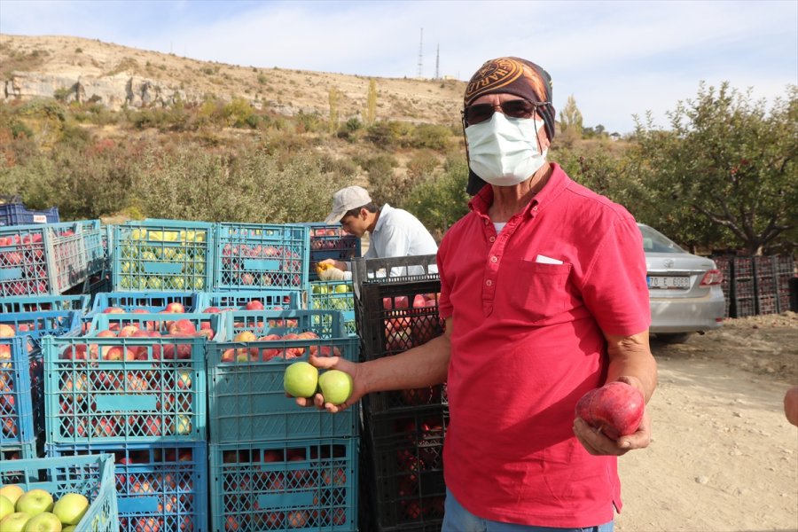 Esentepe Mahallesi'nin Emekli Ve Üniversite Mezunu Çiftçileri