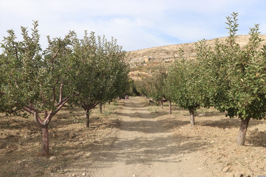 Esentepe Mahallesi'nin Emekli Ve Üniversite Mezunu Çiftçileri