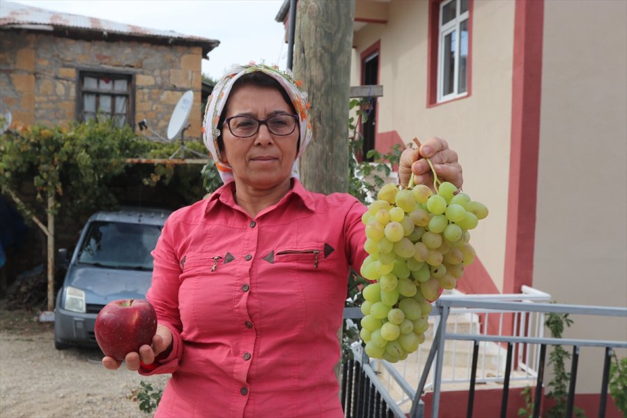 Esentepe Mahallesi'nin Emekli Ve Üniversite Mezunu Çiftçileri
