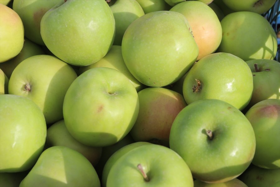 Esentepe Mahallesi'nin Emekli Ve Üniversite Mezunu Çiftçileri