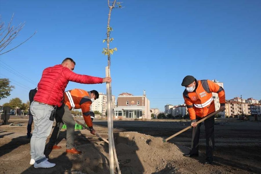 Kocasinan Belediyesinde Ağaçlandırma Çalışmaları