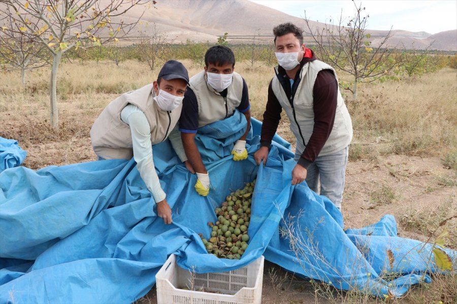 Kovid-19 Nedeniyle Mahkumları İzne Çıkan Cezaevinde Üretimi Personel Sürdürüyor