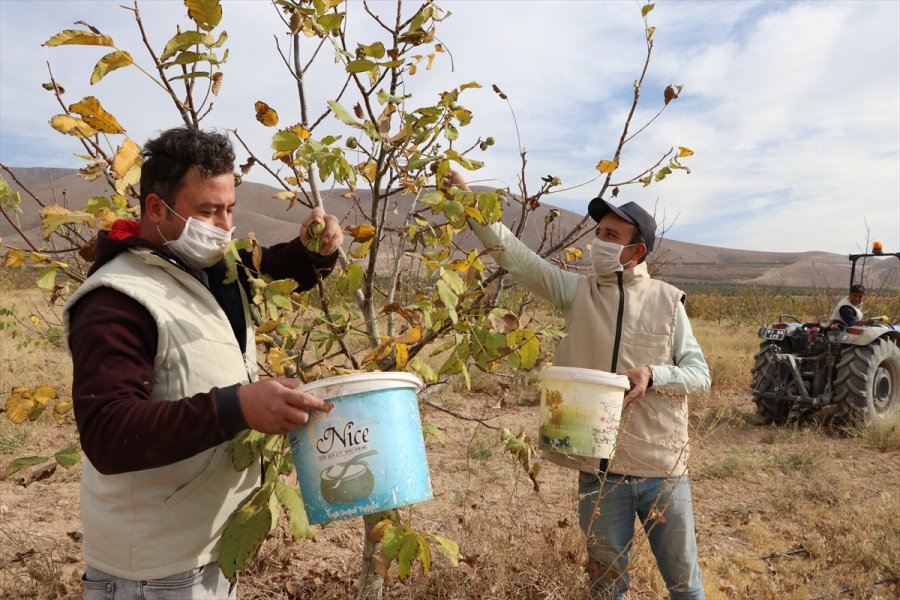 Kovid-19 Nedeniyle Mahkumları İzne Çıkan Cezaevinde Üretimi Personel Sürdürüyor